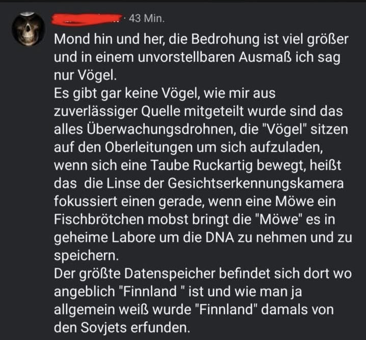 Littlewisehen tweet media