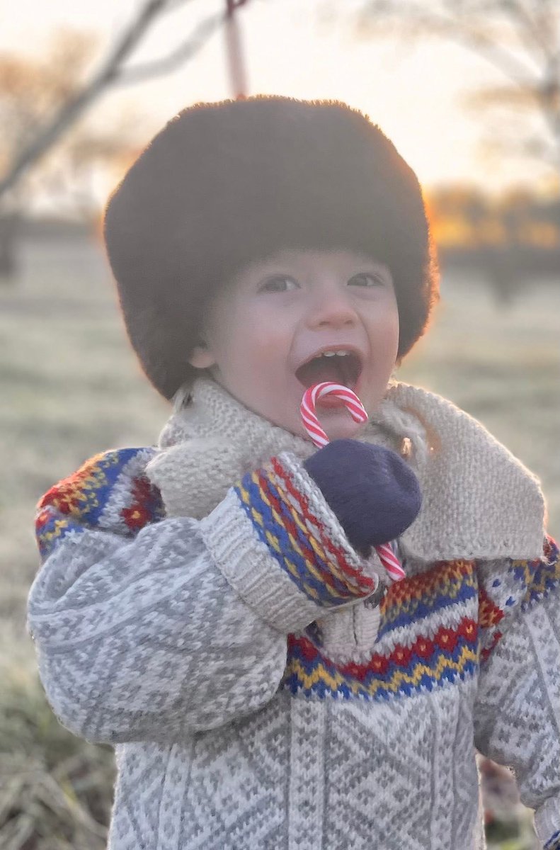 POLKAGRISENS DAG – 20 APRIL

Idag är det polkagrisens dag! Polkagrisen är en hård, randig (oftast vit och röd) karamell i form av en stång, som förknippas med staden Gränna. 

Det var änkan Amalia Eriksson som började tillverka polkagrisar i Gränna på 1800-talet. Amalia växte upp