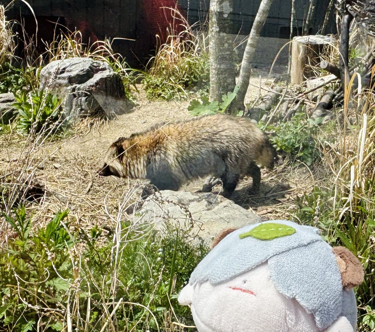 げきお tweet media