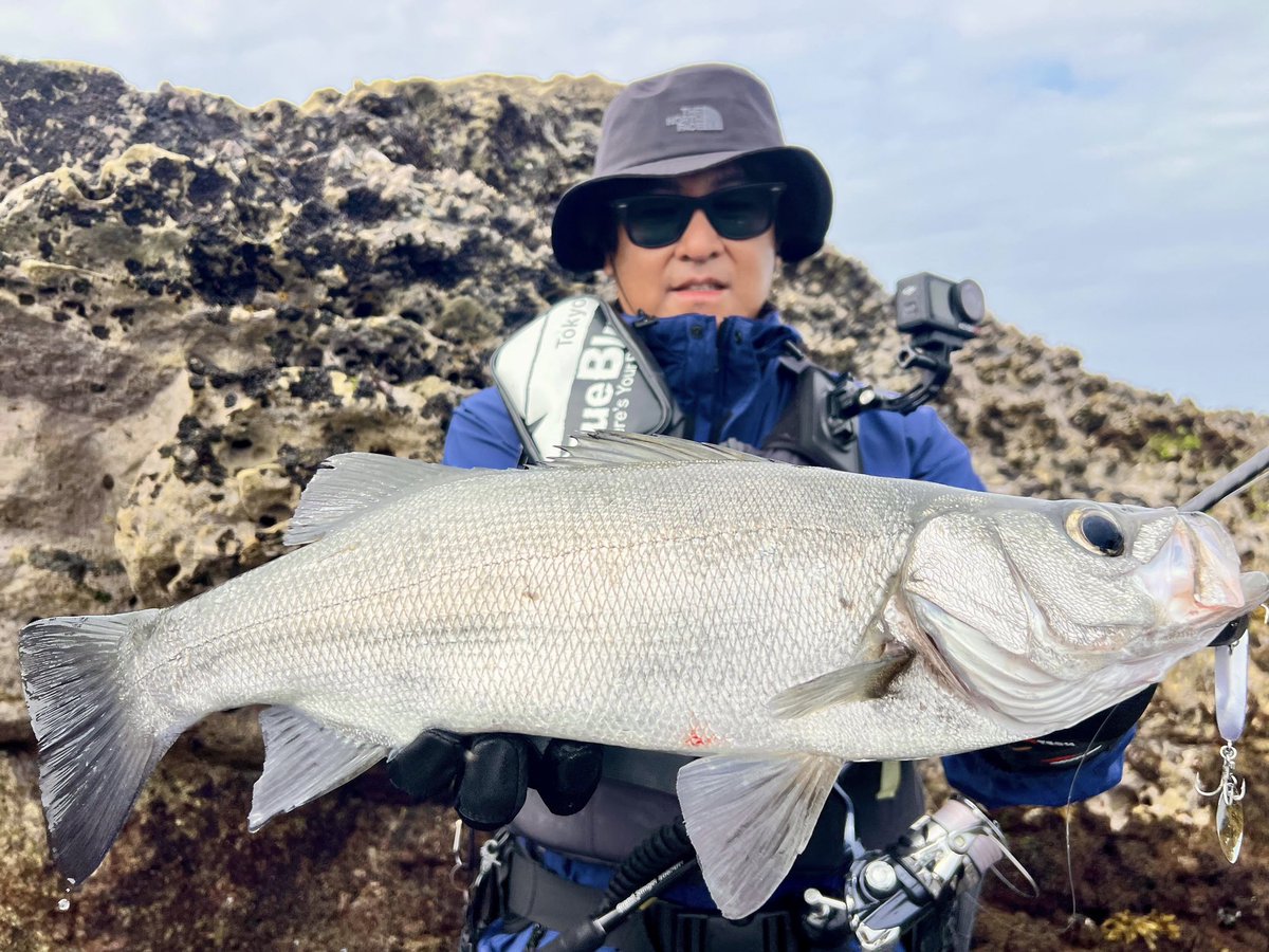 小田龍 tweet media