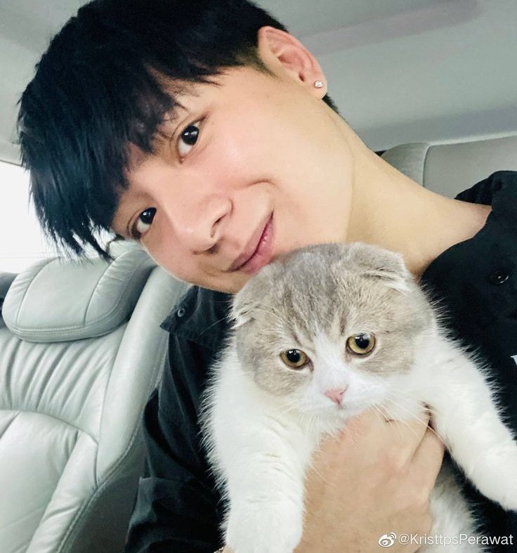 𝑵𝑲𝑺 // 🐢🦁 tweet media