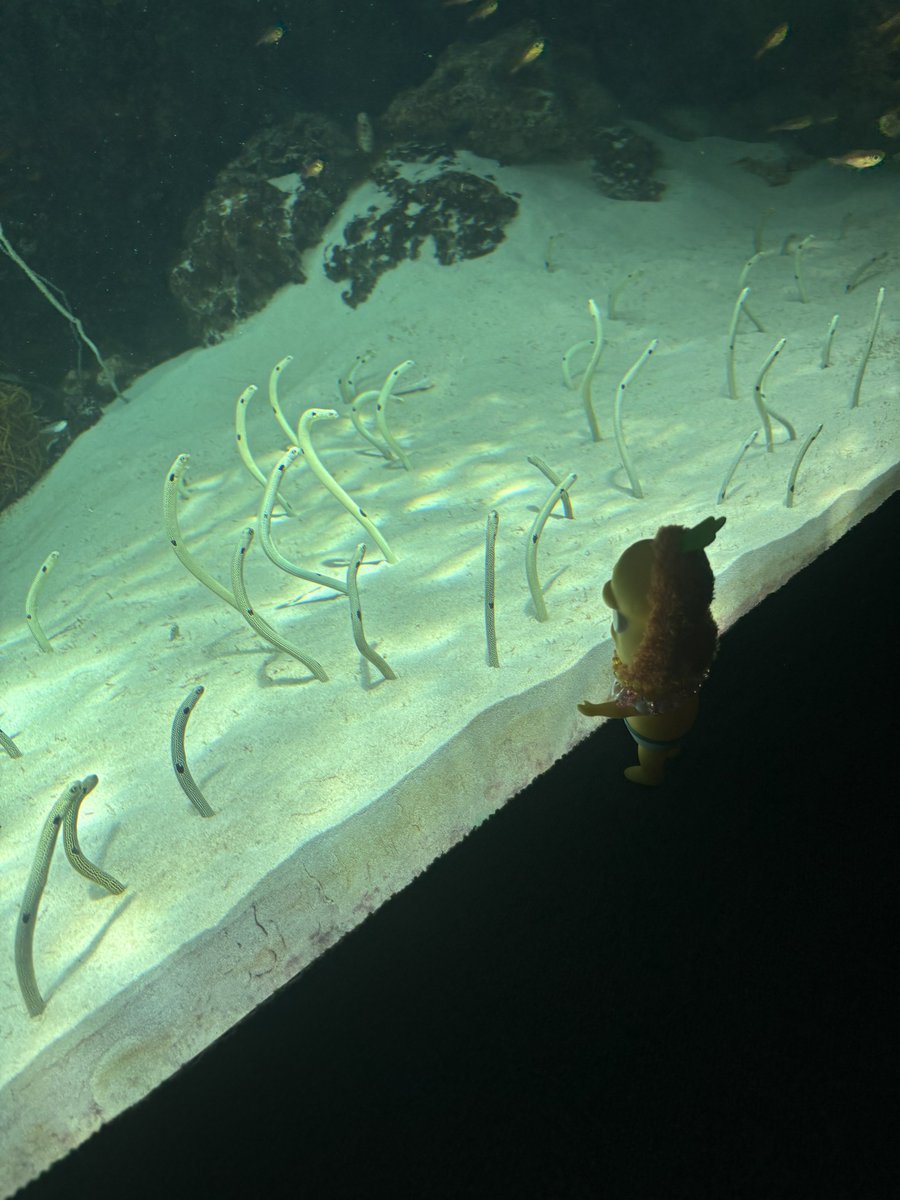 げきお tweet media