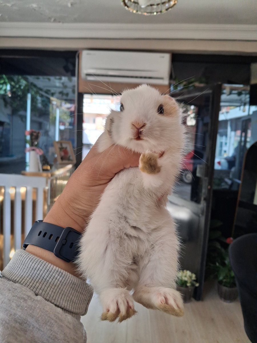 EZİGİ ✌ tweet media