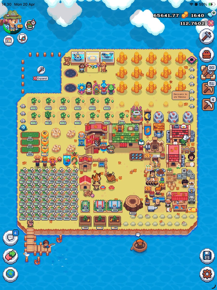shrlyw's tweet photo. #SunflowerLandFarm
#SunflowerLandWeekly https://t.co/dZfDU5DyGf