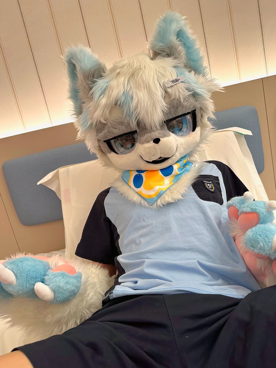 爱吃糖的凛风_frosti🐾 tweet media