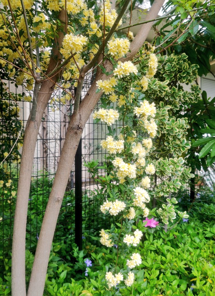 *🌜心灯⋆🕯 tweet media