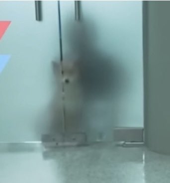 คุณจีม tweet media