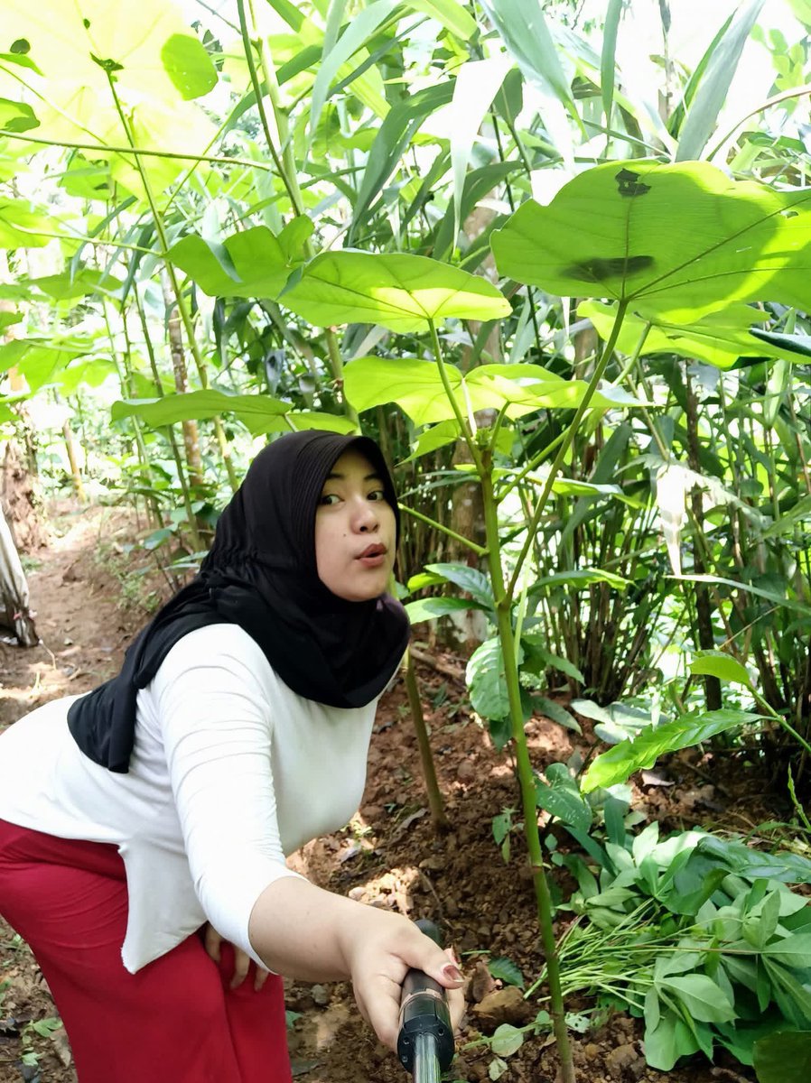 Teteh Musliah tweet media