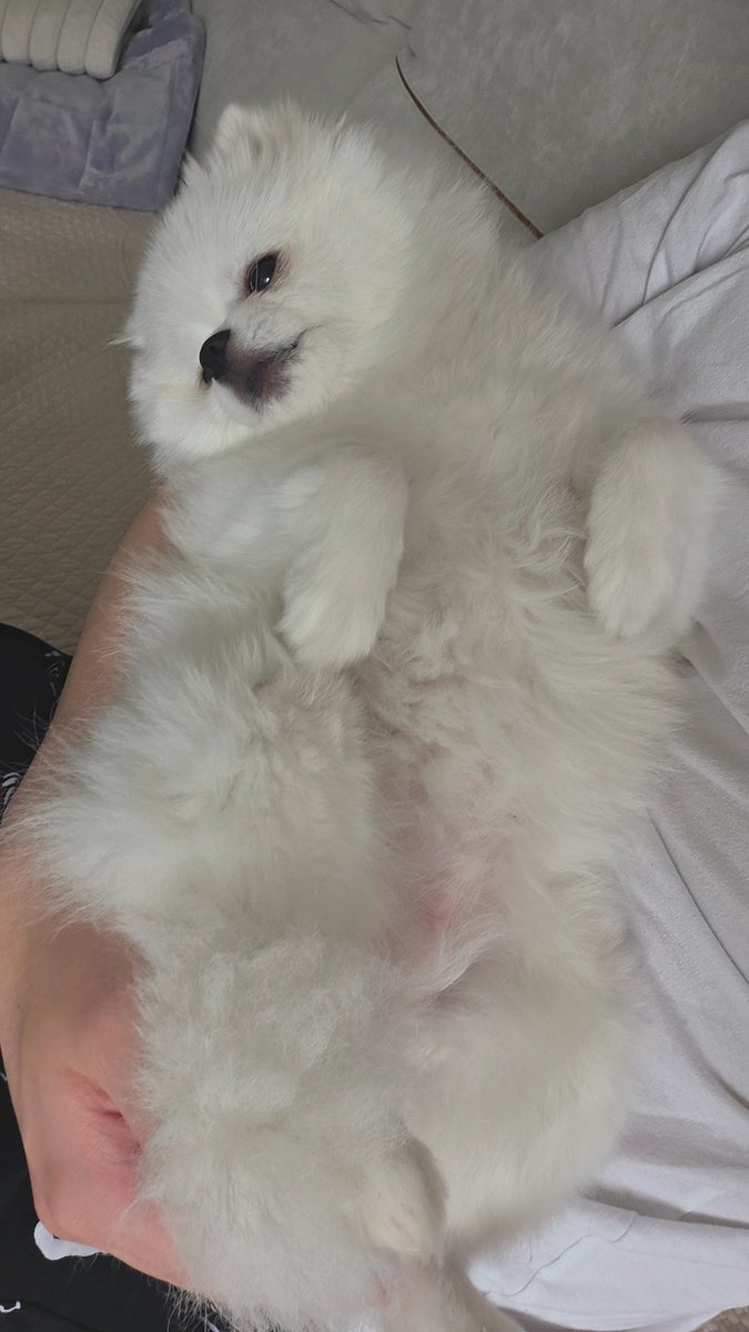 곽춘식 tweet media