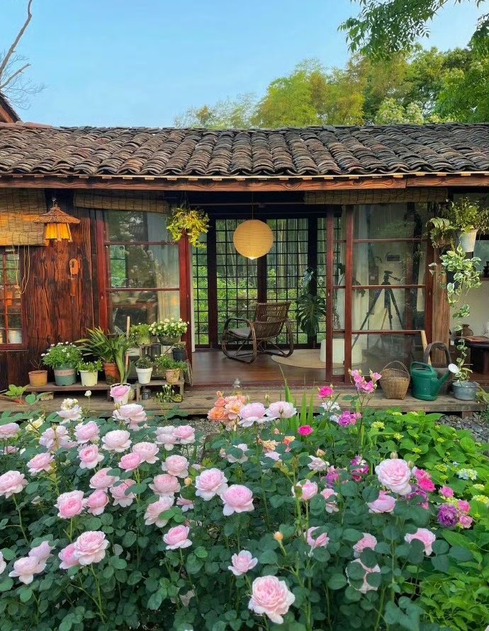 草莓舒芙蕾（互fo互赞） tweet media