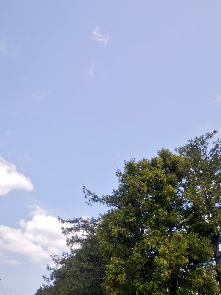 *🌜心灯⋆🕯 tweet media