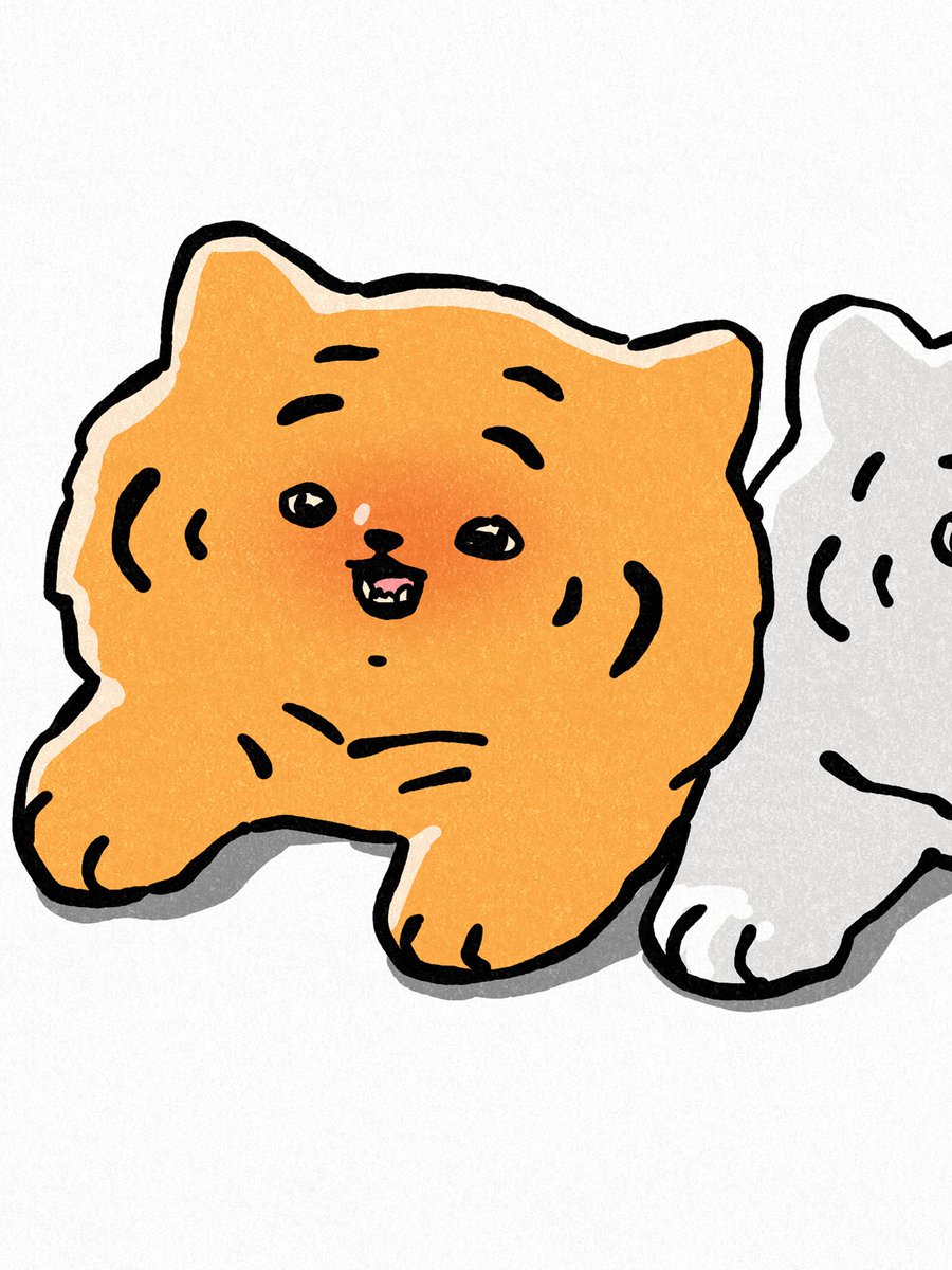muziktiger's tweet photo. 나 완전 귀여운 사진 봐짜나🐯☺️ 뚱랑이랑 완전 똑같지?🤘 https://t.co/XSXLb2shl3