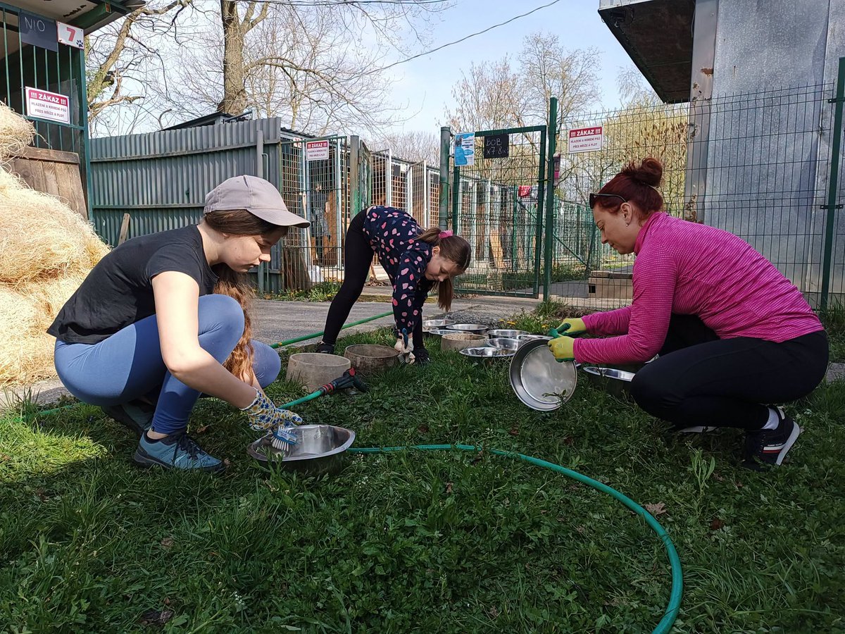 Bohumín_news tweet media