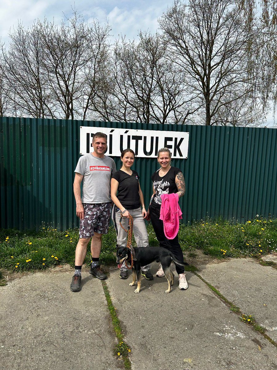 Bohumín_news tweet media