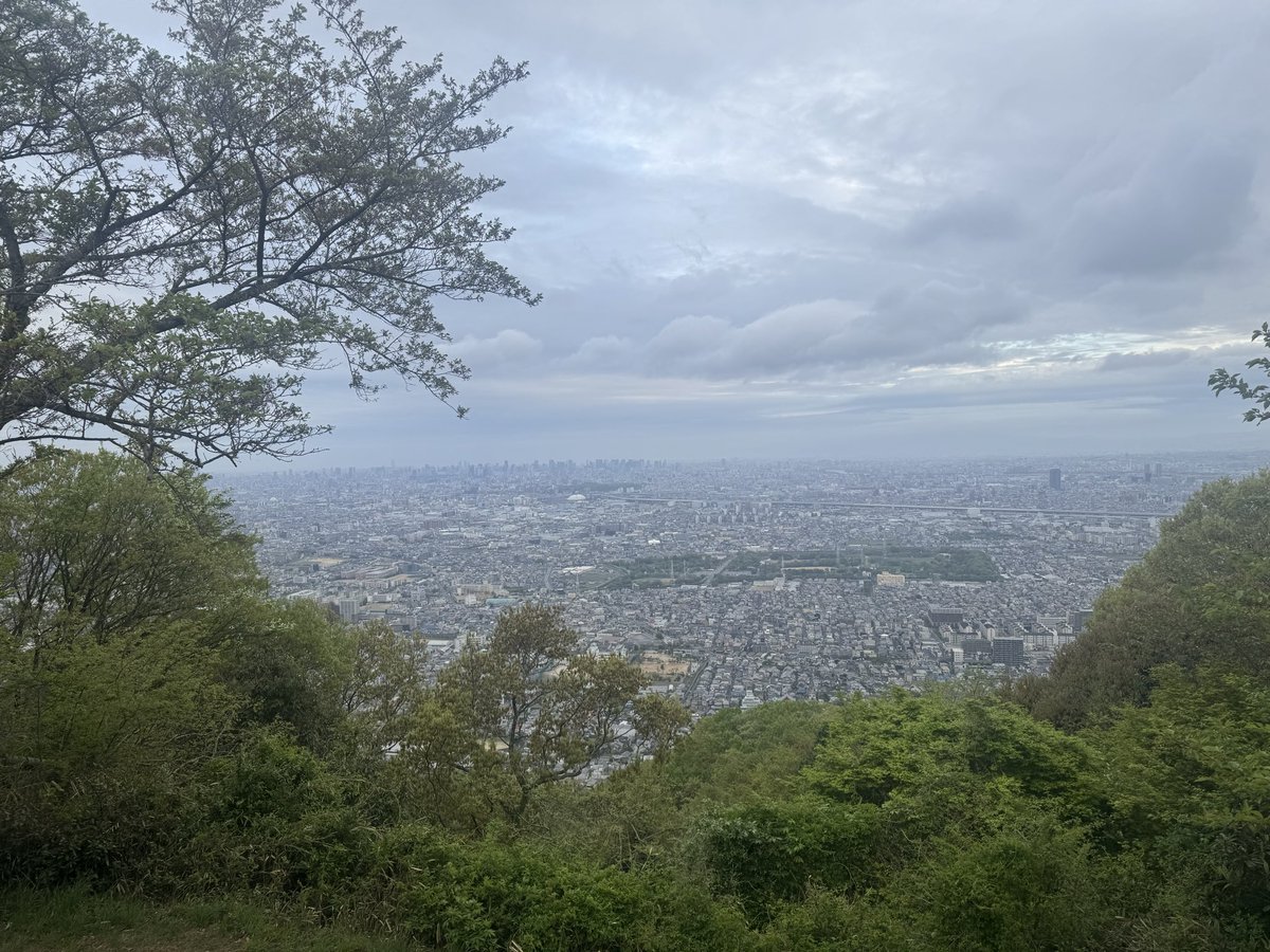 minoru_（ミノル↑↑） tweet media