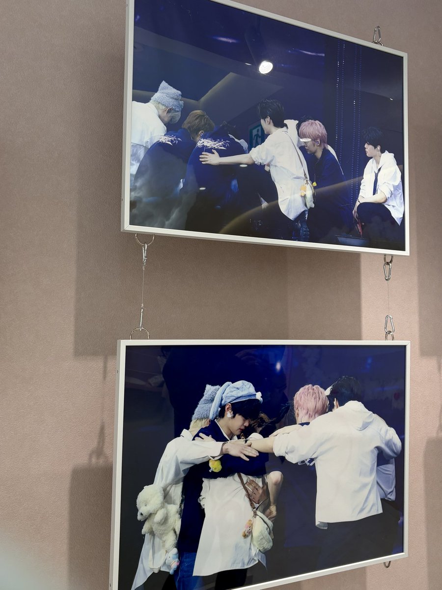 kuuu🐷🐶 tweet media