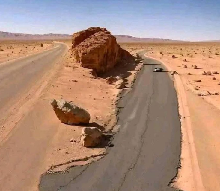 Frenkie_Woody tweet media