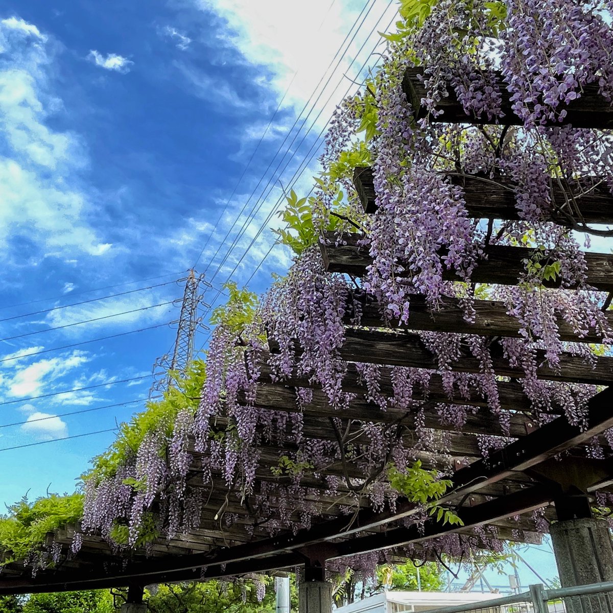 ああ。もうゴールデンウィークも近いのか。忘れてた。