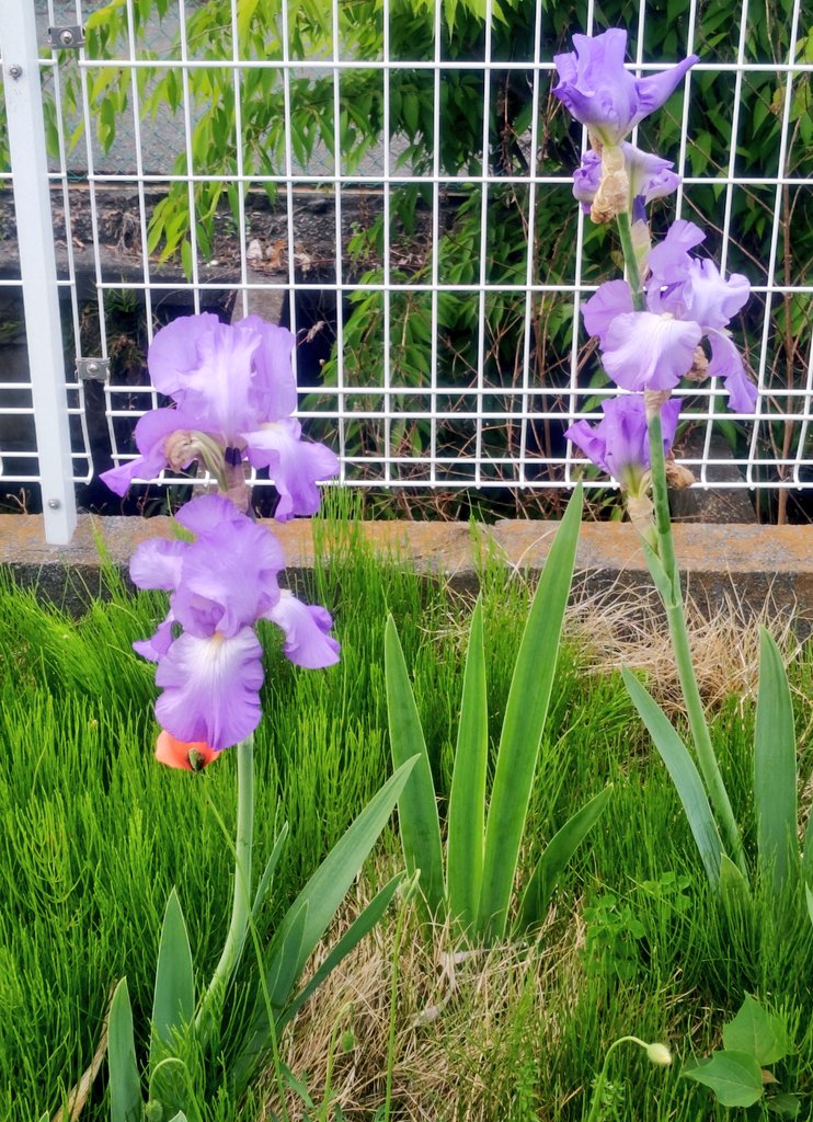 *🌜心灯⋆🕯 tweet media