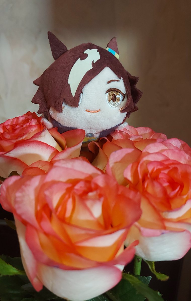 perr_ka's tweet photo. my birthday was yesterday, but I forgot to post this photo https://t.co/z0Mxi6okIE