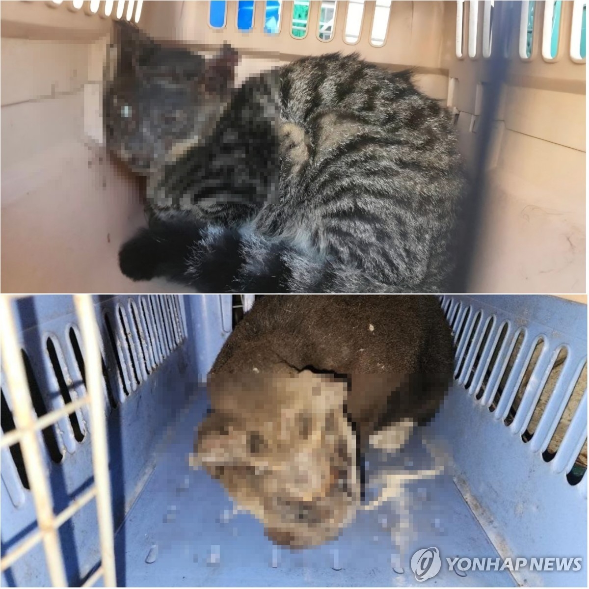 연합뉴스 tweet media