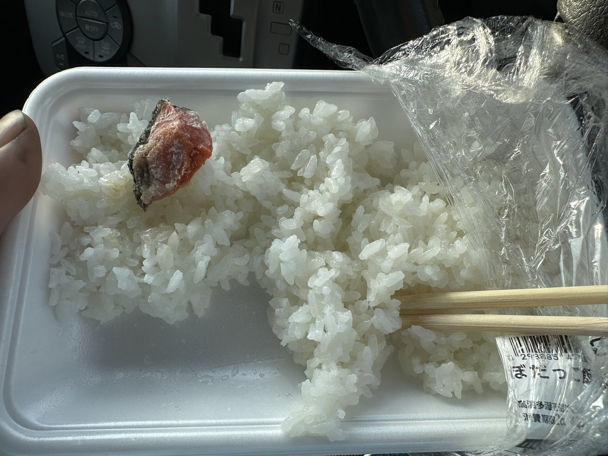 薮川とうもろこし 山寒果実 tweet media