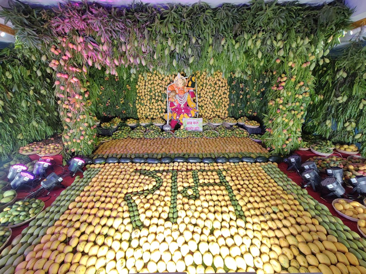 Shree Pitreshwar Hanuman Dham tweet media