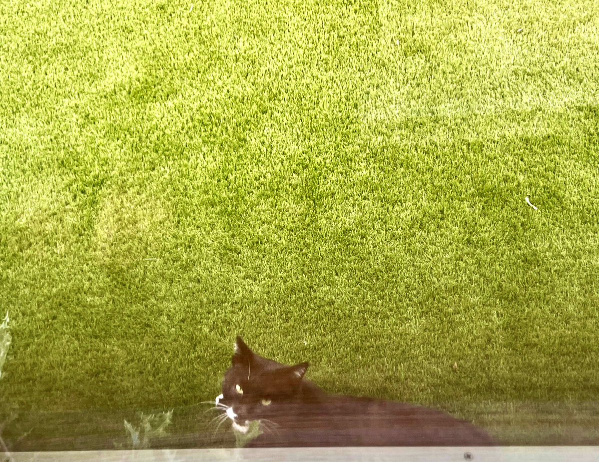 𝘵𝘴𝘶𝘵𝘴𝘶 tweet media