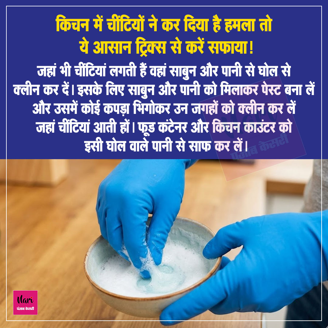 NariKesari's tweet photo. किचन में चींटियों ने कर दिया है हमला तो ये आसान ट्रिक्स से करें सफाया!

#KitchenHacks #AntsProblem #HomeRemedies #CleaningTip https://t.co/EVFvPOQkcp