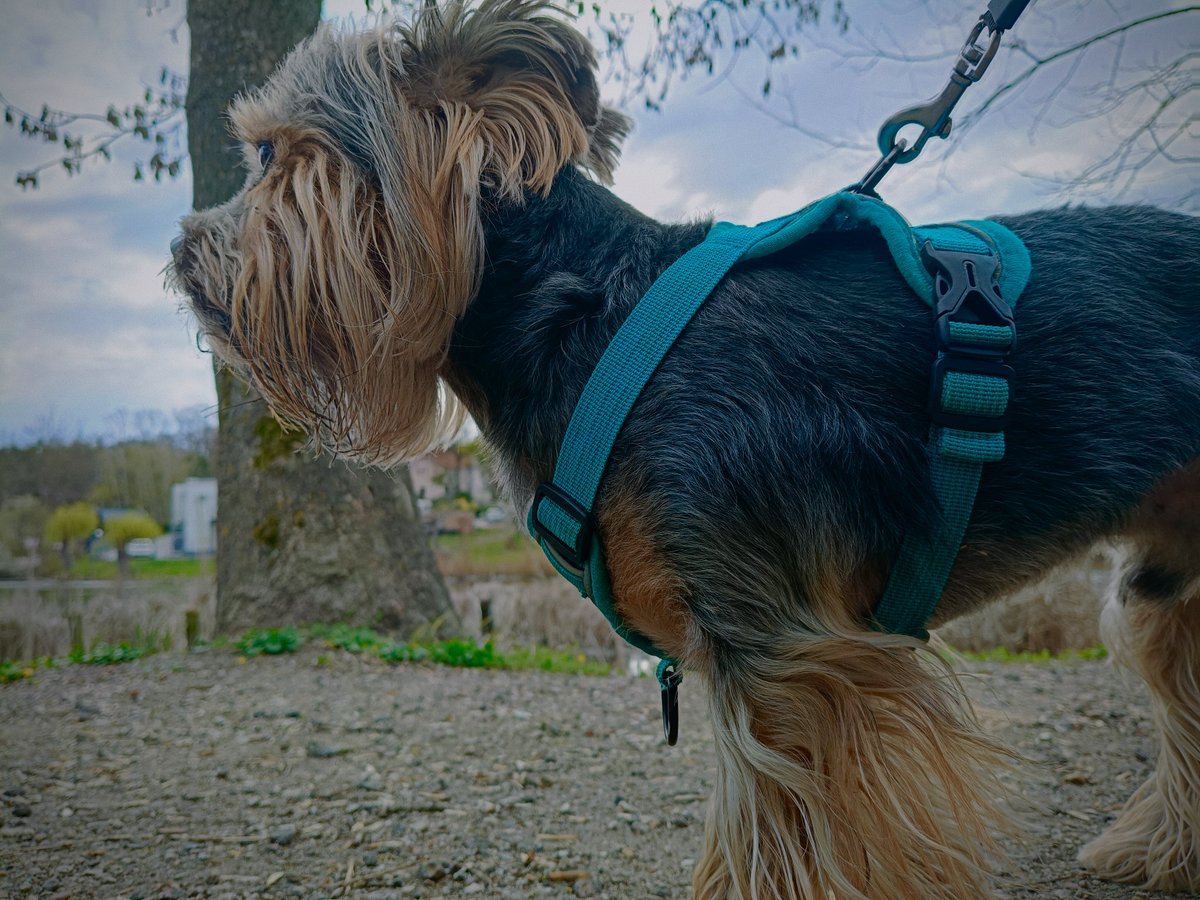 𝐀𝐥𝐢𝐜𝐞 ۵ tweet media