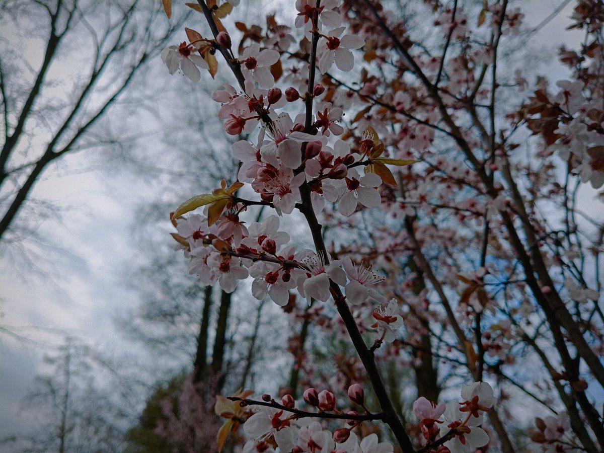 𝐀𝐥𝐢𝐜𝐞 ۵ tweet media