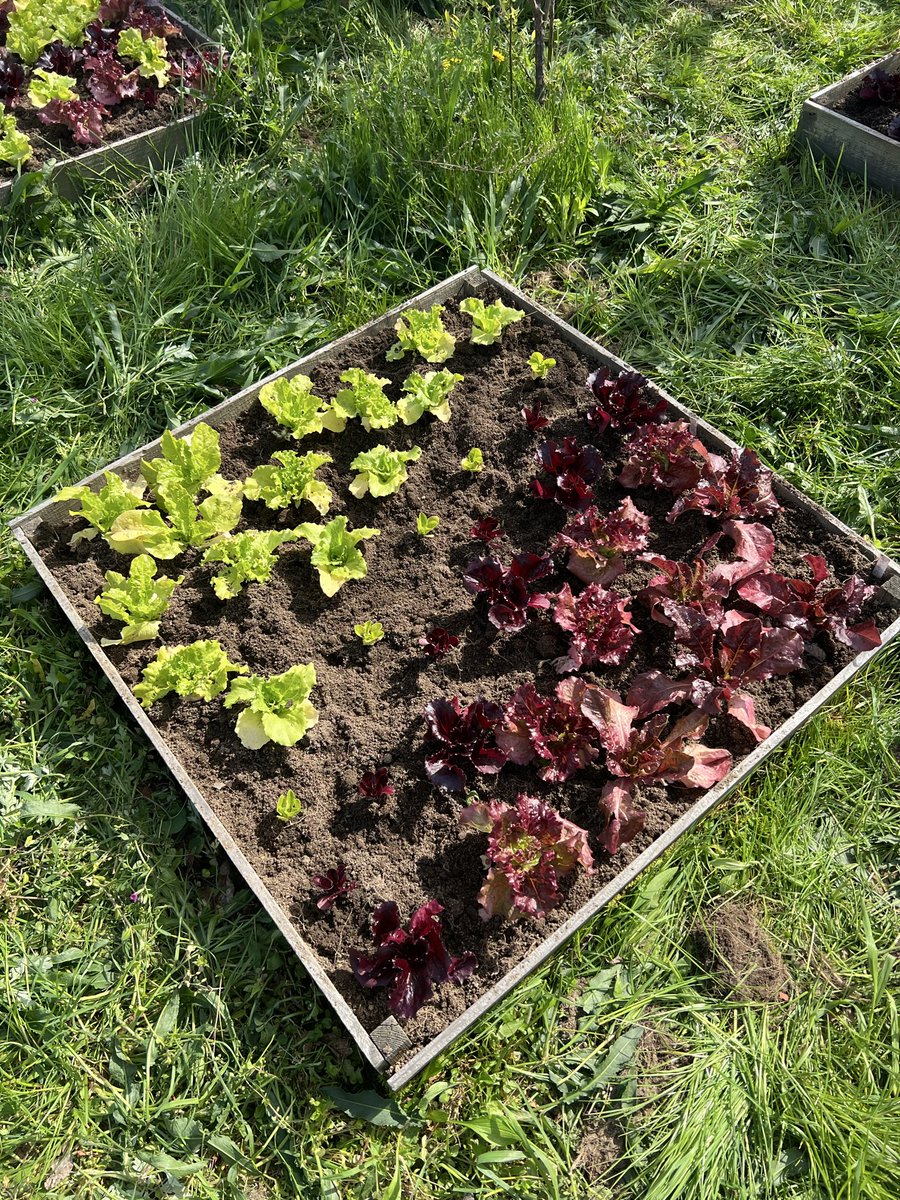 からから♨️ tweet media