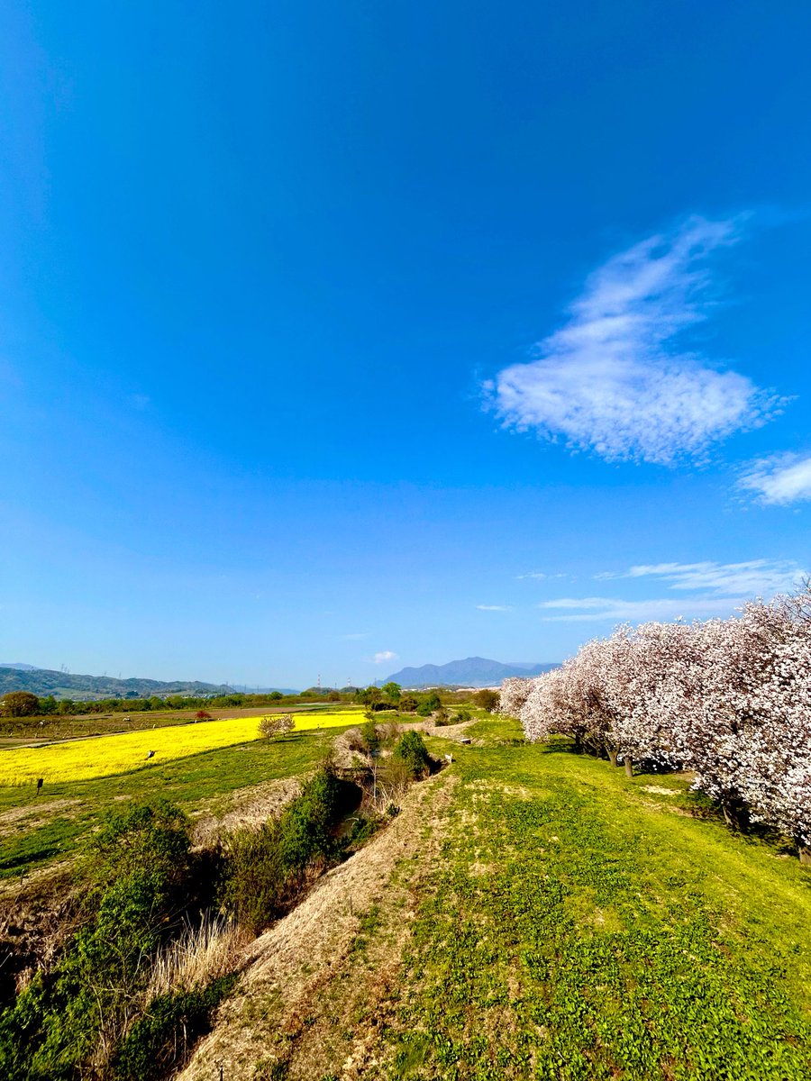 VIVI☆彡低浮上✨🌟🪽ྀི🪽ྀི🪽ྀི tweet media