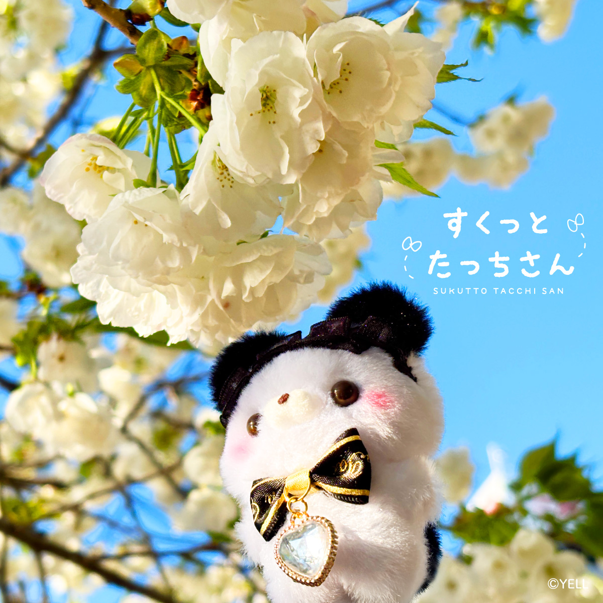 すくっとたっちさんʚ🎀ɞ tweet media