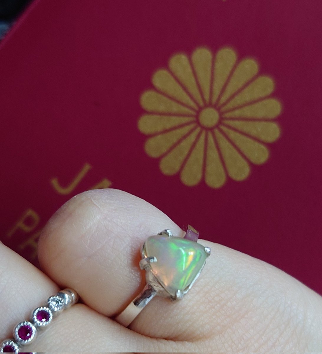 蝶が好きな人(Yuki❄️) tweet media