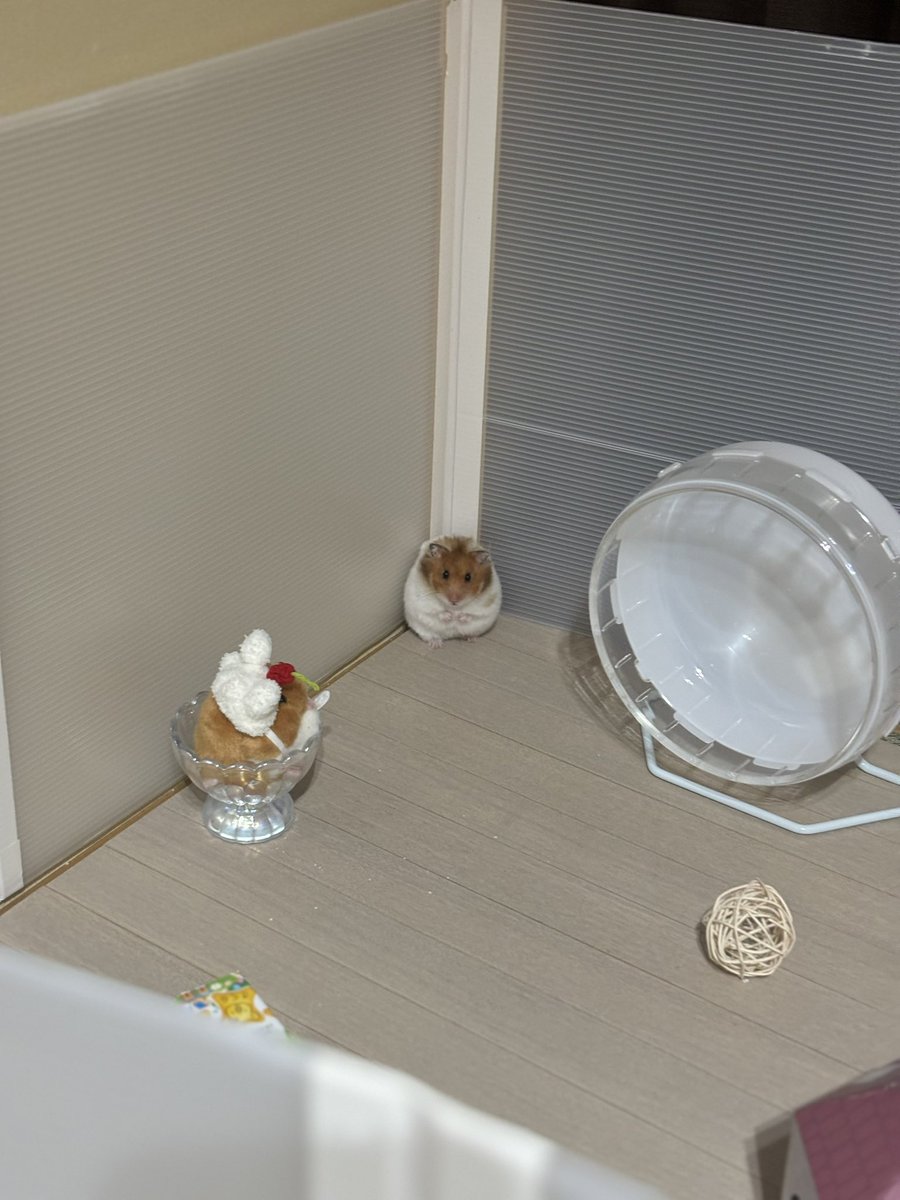 みるくぷりん tweet media