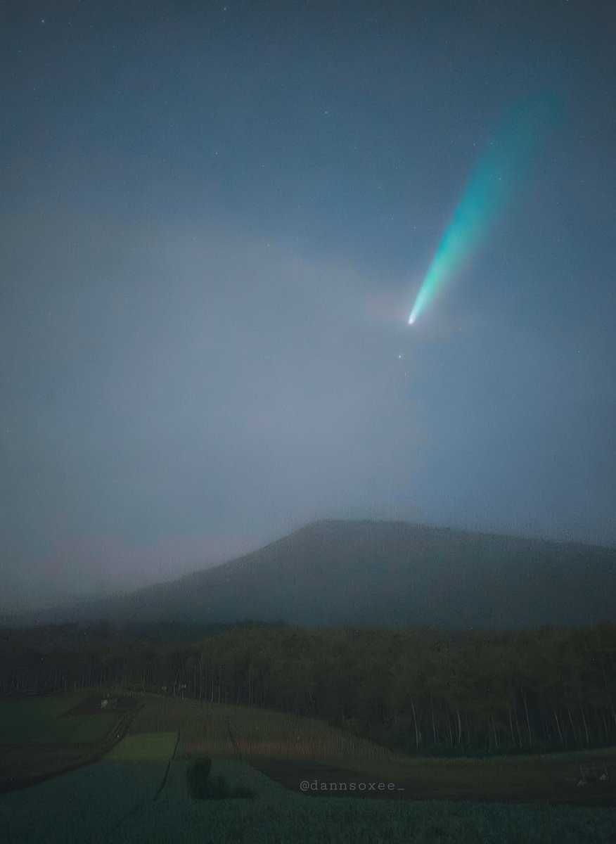 dans 🔰 tweet media