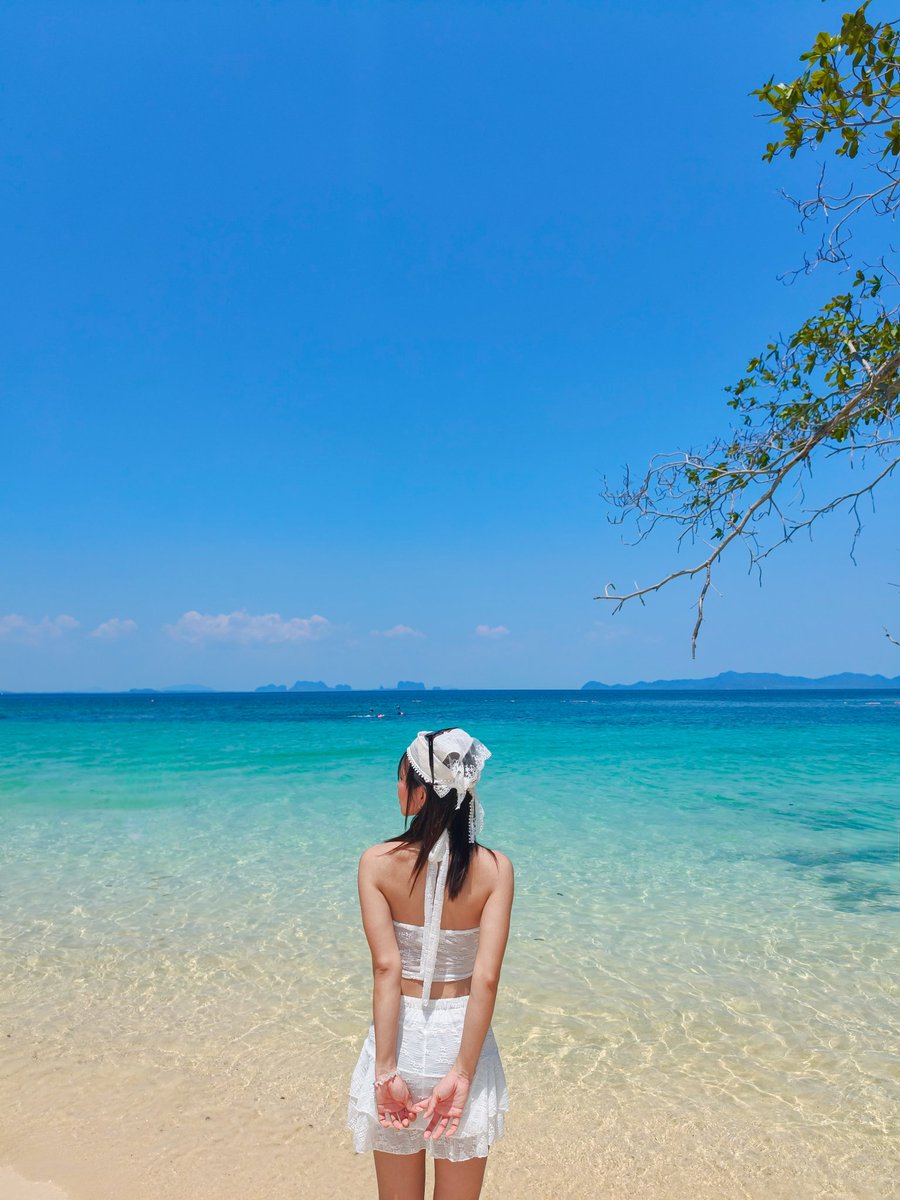 สออายฝน tweet media