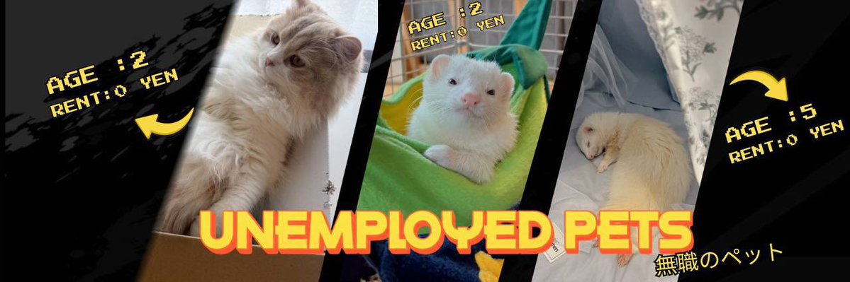 DARION🕷️ tweet media