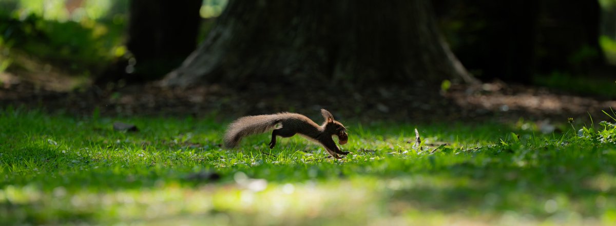 こーちゃ tweet media