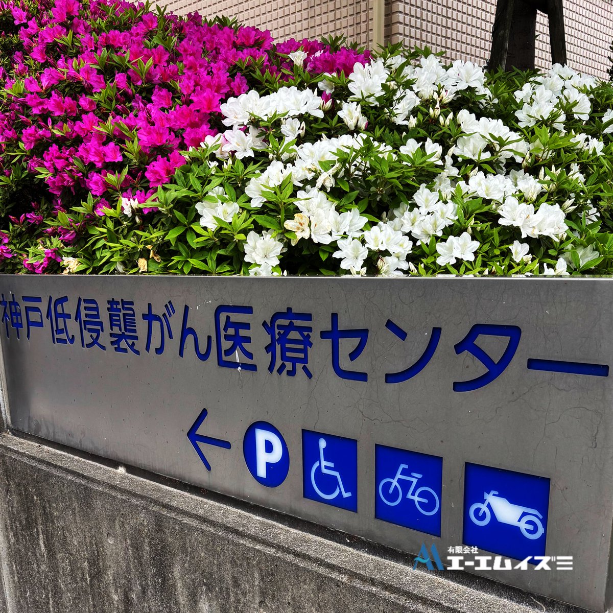 infoamizumi's tweet photo. お疲れ様です('◇')ゞ
本日行った現場の近くに
数年前に弊社で施工した現場があるので、
懐かしく思い写真を撮りました。
「神戸低侵襲ガンセンター」です。
この地域は「先端医療産業特区」に指定され、
先端医療の研究所等が集まっています。
ご安全に!
#ダクト
#duct
#ダクト工事 https://t.co/wurYRuhcQs