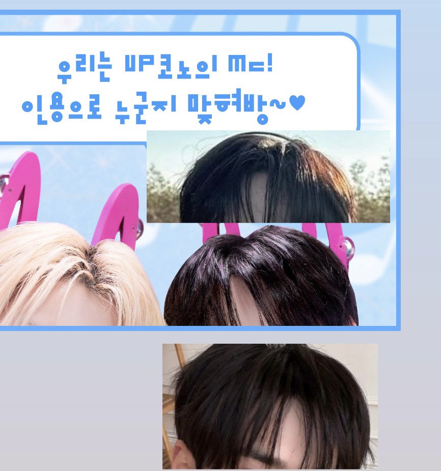 choi 🦁 tweet media