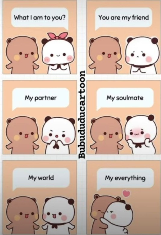 Roses 🌹 tweet media