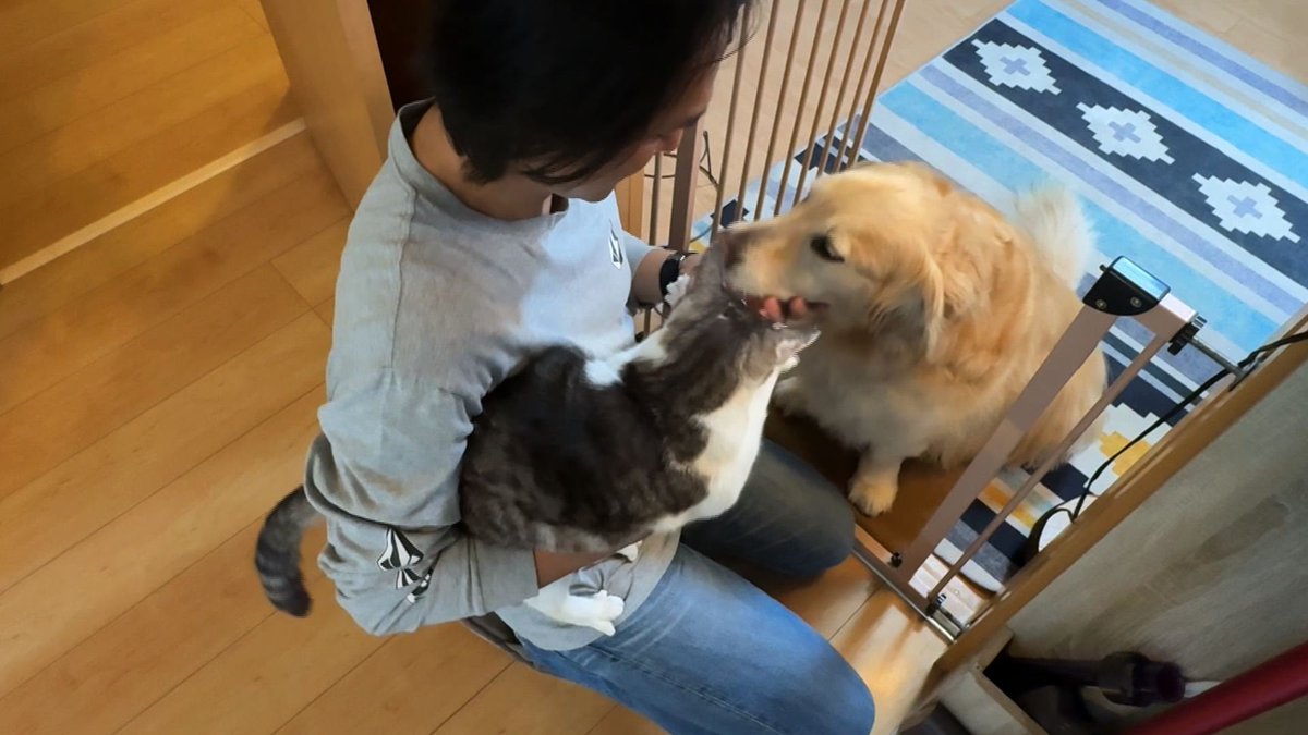 cx_mezamashi's tweet photo. #きょうのわんこ に登場してくれたのは「アベル」でした🐶ご主人夫婦が一緒に暮らせるようにと一軒家に引っ越し🏘️そこで保護された猫の「ちょび」と仲良く暮らしてるんだって😊

きょうのわんこはFODで無料配信中→https://t.co/0LyWsPxv1I

#めざましテレビ https://t.co/vfOUOdddZO