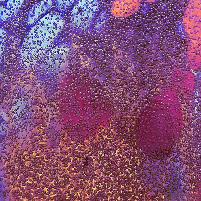 GetMusicfm's tweet image. Free download codes:

Louis Heel - Sense Apart

"Melodic electronica album"

getmusic.fm/l/SFYjTN

#ambient #electronica #idm #downtempofunk #music