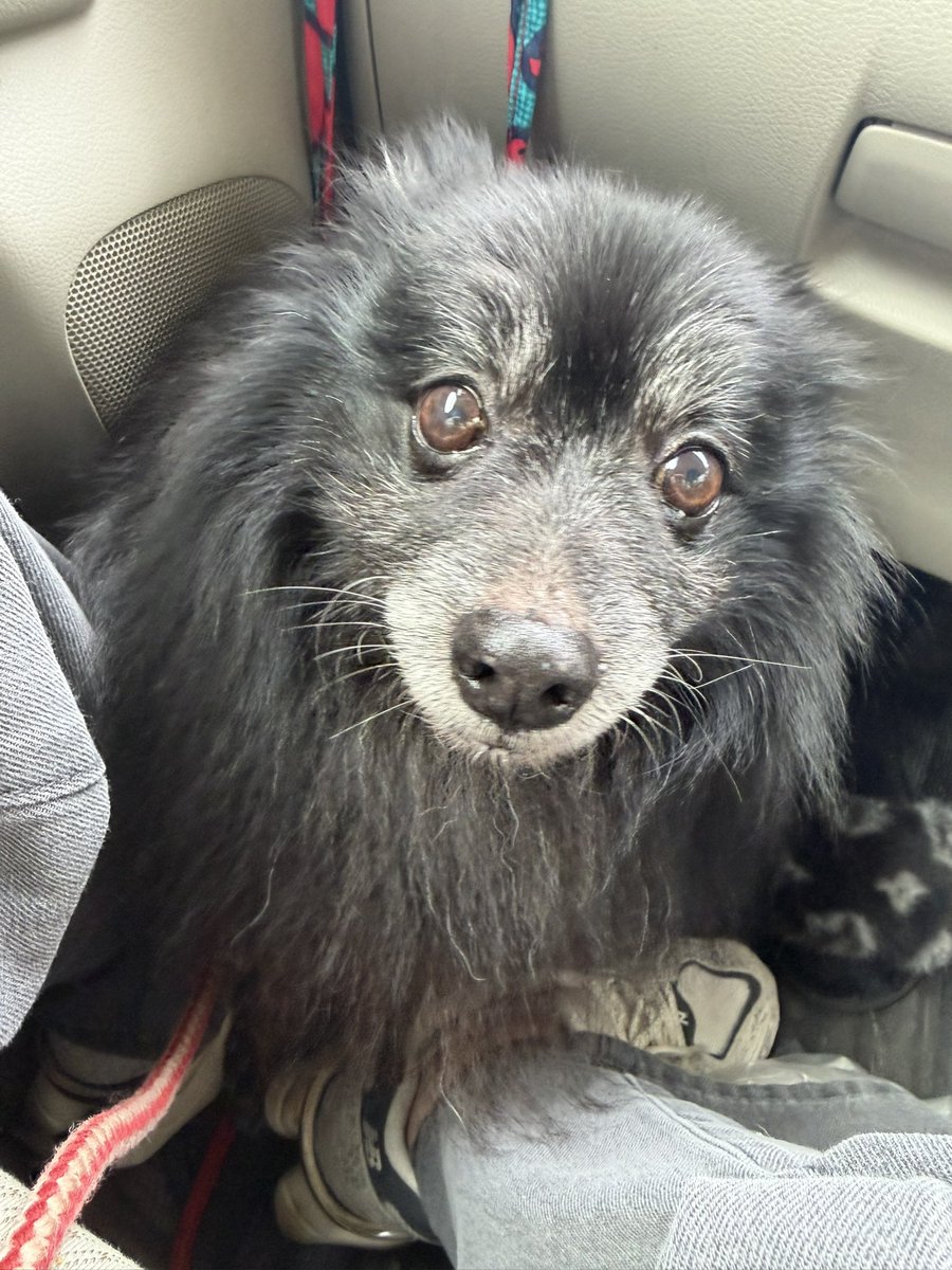 楠木あいか tweet media