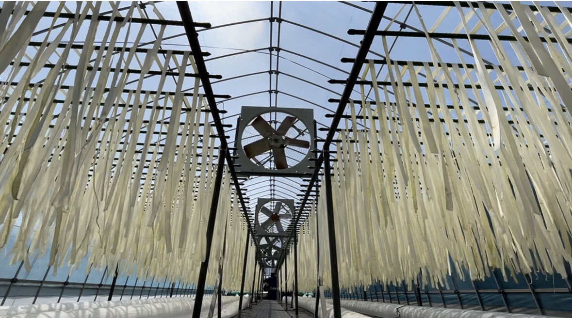 うちだって…うちだって……！！