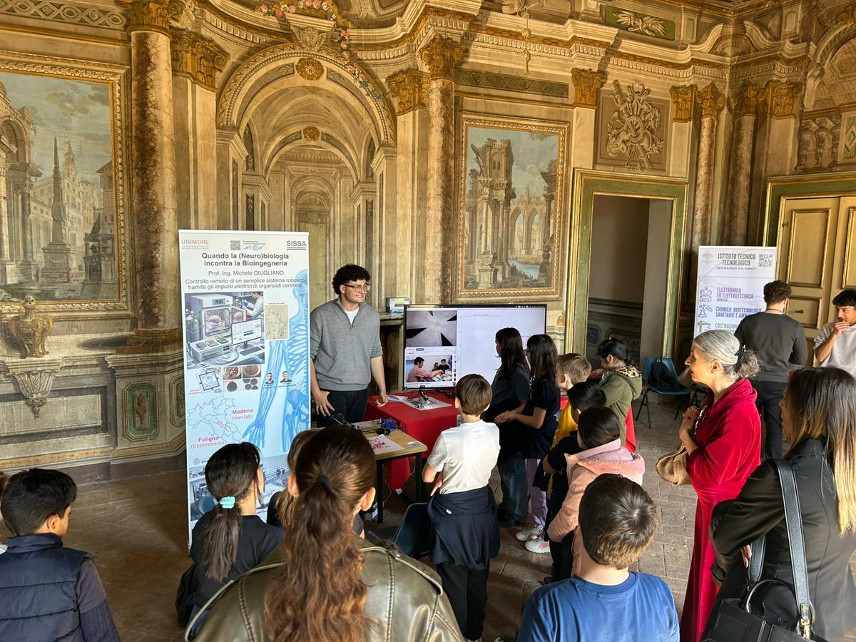 CROSSBRAIN tweet media