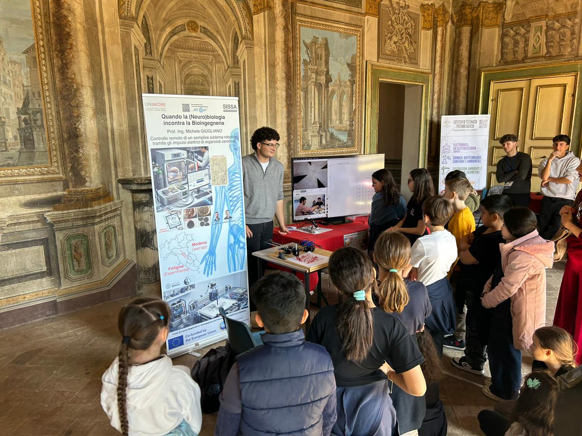 CROSSBRAIN tweet media