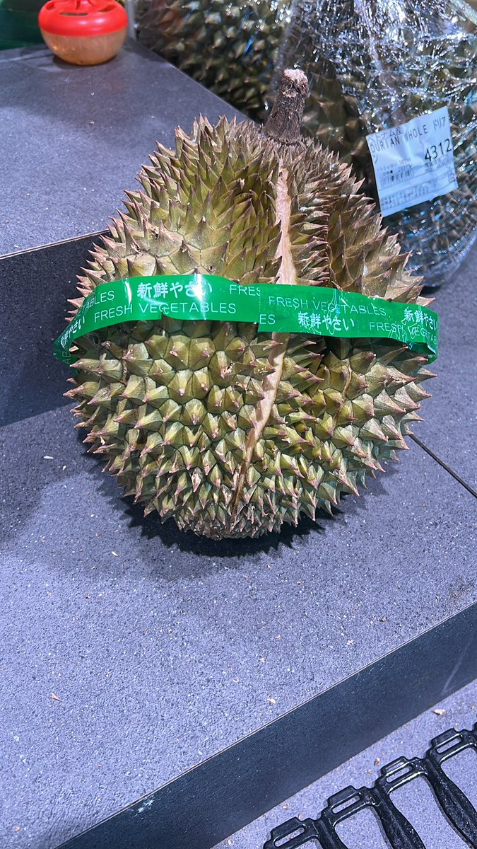 snackenkenta's tweet photo. おはようございますこんにちはこんばんは☀️
��日は大泉に買い物に来ててあるスーパーに行ったらこんなでっかいドリアンが売ってました！美味しいけどなんか未知の味って感じテヘペロ(´>ω∂`)

•#未経験歓迎
•#体験入店
•#日払いOK
•#高収入バイト
•#WワークOK
•#副業OK
•#短時間バイト https://t.co/R4St9PoeI4